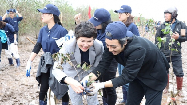 Planting 10,000 mangrove apple trees in Thai Binh